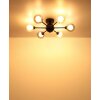 Lámparas Globo Lighting Roland Plafones Negro, 6 luces