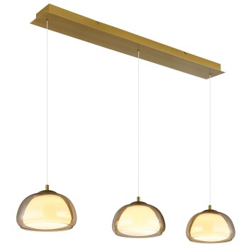 Lámparas Globo Lighting Avila Lámparas suspendidas LED dorado, 1 luz, Mando a distancia