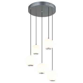 Lámparas Globo Lighting Simmons Lámparas suspendidas LED Gris, 1 luz