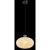 Lámparas Globo Lighting Brokana Lámparas suspendidas Cromo, Negro, 1 luz