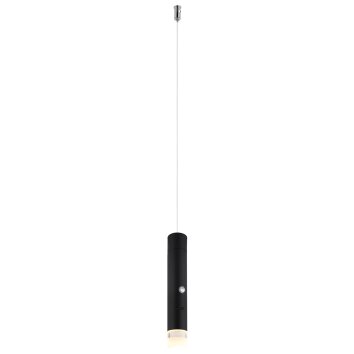 Lámparas Globo Lighting Pelo Lámparas suspendidas LED Negro, 1 luz