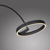 Lámparas Paul Neuhaus Loop-Bow Lámpara de pie, Lámparas de pie tipo arco LED Negro, 2 luces