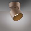 Lámparas Paul Neuhaus Cup Plafones LED Bronce, 1 luz
