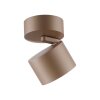 Lámparas Paul Neuhaus Cup Plafones LED Bronce, 1 luz