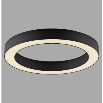 Lámparas Paul Neuhaus Round Plafones LED Gris, 1 luz, Mando a distancia