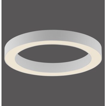 Lámparas Paul Neuhaus Round Plafones LED Blanca, 1 luz, Mando a distancia