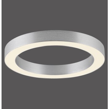 Lámparas Paul Neuhaus Round Plafones LED Transparente, claro, 1 luz, Mando a distancia