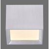 Lámparas Paul Neuhaus Manhattan Plafones LED Apariencia de piedra, 1 luz, Mando a distancia