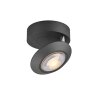 Lámparas Paul Neuhaus Oculis Plafones LED Negro, 1 luz