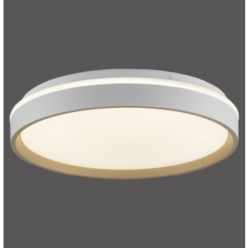 Lámparas Leuchten Direkt MIO Plafones LED Color arena, 1 luz, Mando a distancia