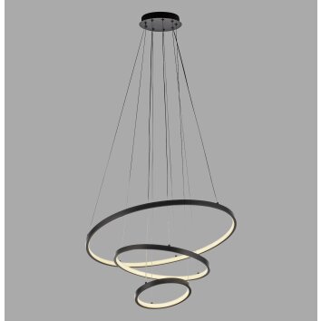 Lámparas Leuchten Direkt CERCHI Lámparas colgantes LED Negro, 1 luz