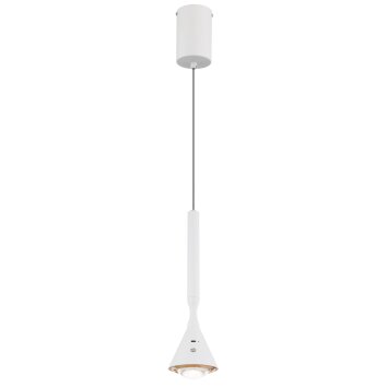Lámparas Globo Lighting Lucinda Lámparas suspendidas LED Blanca, 1 luz