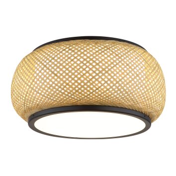 Lámparas Globo Lighting Bambora Plafones LED Negro, 1 luz