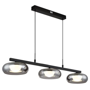 Lámparas Globo Lighting Carlene Lámparas suspendidas LED Negro, 1 luz