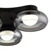 Lámparas Globo Lighting Carlene Plafones LED Negro, 1 luz