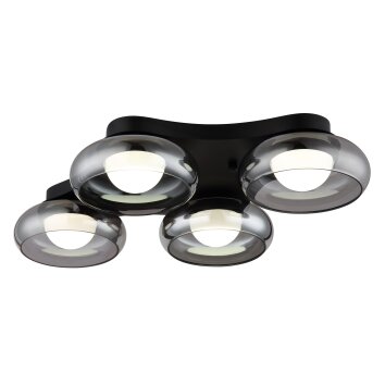 Lámparas Globo Lighting Carlene Plafones LED Negro, 1 luz