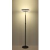 Lámparas Globo Lighting Emanuel Plafones LED Antracita, Negro, 1 luz