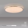 Lámparas Leuchten Direkt KYLE Plafones LED Plata, 1 luz