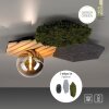 Lámparas Leuchten Direkt HEX Plafones LED Gris, Verde, 1 luz