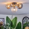 Chehalis Plafones, Luminarias esféricas dorado, Negro, 3 luces