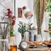 Fallhagen Apliques, Spot de pared Cromo, Madera oscura, 1 luz