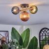 Chehalis Plafones, Luminarias esféricas dorado, Negro, 3 luces