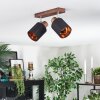 Fallhagen Plafones, Spot techo Cromo, Madera oscura, 2 luces