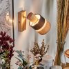 Fallhagen Apliques, Spot de pared Cromo, Madera clara, 1 luz