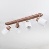 Fallhagen Plafones, Spot techo Cromo, Madera oscura, 4 luces