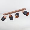 Fallhagen Plafones, Spot techo Cromo, Madera oscura, 4 luces