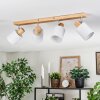 Fallhagen Plafones, Spot techo Cromo, Madera clara, 4 luces