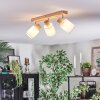 Fallhagen Plafones, Spot techo Cromo, Madera clara, 3 luces