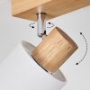 Fallhagen Plafones, Spot techo Cromo, Madera clara, 3 luces