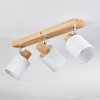 Fallhagen Plafones, Spot techo Cromo, Madera clara, 3 luces