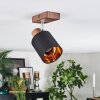 Fallhagen Plafones, Spot techo Cromo, Madera oscura, 1 luz