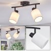 Fallhagen Plafones, Spot techo Negro, 2 luces