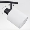Fallhagen Plafones, Spot techo Negro, 2 luces