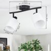 Fallhagen Plafones, Spot techo Negro, 2 luces