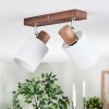 Fallhagen Plafones, Spot techo Cromo, Madera oscura, 2 luces
