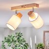 Fallhagen Plafones, Spot techo Cromo, Madera clara, 2 luces