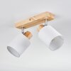 Fallhagen Plafones, Spot techo Cromo, Madera clara, 2 luces
