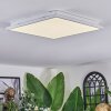 Raimea Plafones, Panel LED Blanca, 1 luz
