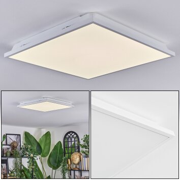 Raimea Plafones, Panel LED Blanca, 1 luz
