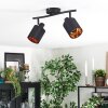 Fallhagen Plafones, Spot techo Negro, 2 luces