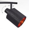 Fallhagen Plafones, Spot techo Negro, 2 luces
