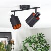 Fallhagen Plafones, Spot techo Negro, 2 luces