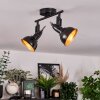 Toren Plafones, Spot techo Cromo, Negro, 2 luces