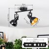 Toren Plafones, Spot techo Cromo, Negro, 2 luces