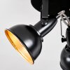 Toren Plafones, Spot techo Cromo, Negro, 3 luces