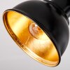 Toren Plafones, Spot techo Cromo, Negro, 3 luces